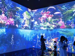-中国湿地博物馆