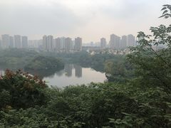 -重庆彩云湖湿地公园
