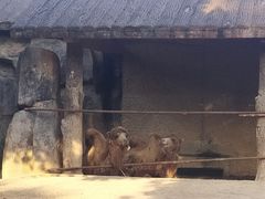 -南昌动物园