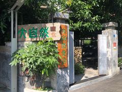 -大自然素食(望桐路店)