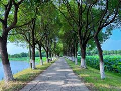 -上膳源有机农场