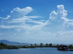 -苏州太湖湖滨国家湿地公园