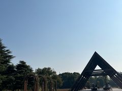 -上海滨江森林公园