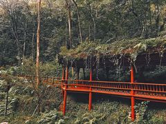 -青城山