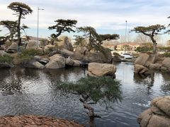 -罗红摄影艺术馆