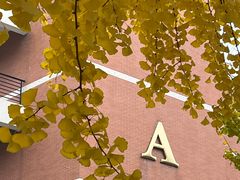 -四川大学(望江校区)