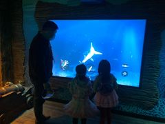 -沈阳海洋探索中心