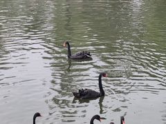 -石家庄市动物园