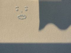 -卖呆儿咖啡(望京店)