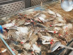 -半岛听涛蒸汽海鲜自助(K11店)
