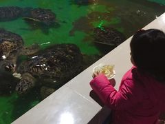 -常州海昌海洋探索馆
