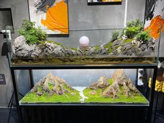 -1218 GRILL 主厨