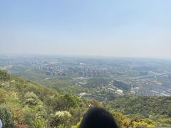 -杭州半山国家森林公园