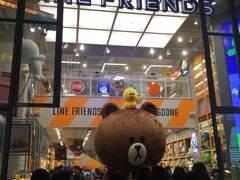 -line friends(明洞旗舰店)