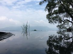 -大埔公路-马料水段香港中文大学(公交站)