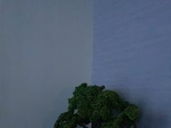 -上足·影院足道·SPA(红岭店)