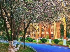 -山东师范大学(千佛山校区)