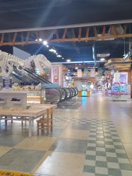 -卡通尼·Safari非洲探索乐园·生日会(金桥国际商业广场店)