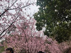 -南溪山景区