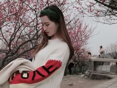-香雪海