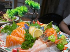 -森味薪火烧•烧鸟居酒屋•日本料理(望京店)