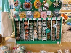 -猫的天空之城概念书店(北戴河蔚蓝海岸店)