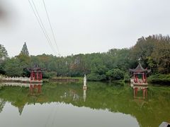 -青龙山国家森林公园