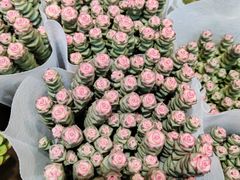 -三旗百汇商品城