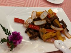 -宝华海景大酒店·望绿苑