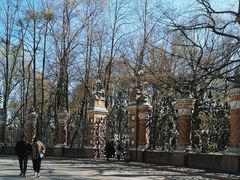 -滴血救世主教堂