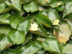 -中国银行江苏省分行培训中心