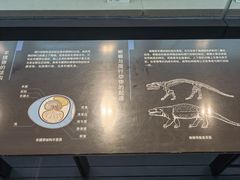 -浙江自然博物院(杭州馆)