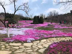 -棒棰岛宾馆景区