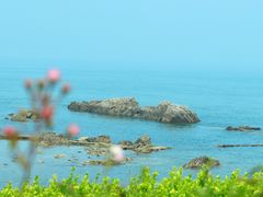 -小麦岛公园
