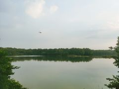 -大湾区中央湿地公园