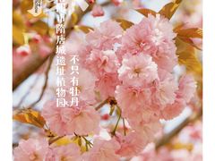 -洛阳市隋唐城遗址植物园