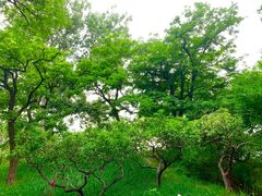 -元大都城垣遗址公园