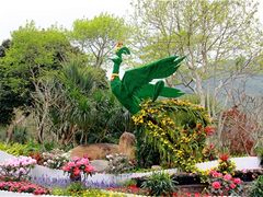 -梧桐山风景名胜区