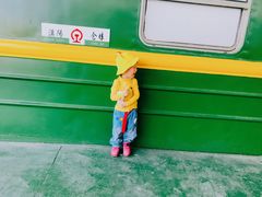 -武汉紫薇都市田园