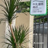 厦门…好好吃的小店！！[流泪][流泪][流泪]