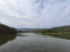 -田野绿世界