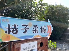 -前小桔亲子创意农场·草莓采摘·露营烧烤