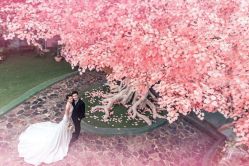 -巴黎时尚婚纱摄影(南汇店)