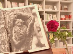 -二酉书店TOYOU BOOKS