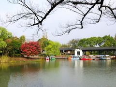 -梁鸿国家湿地公园