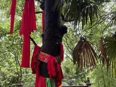 -敬亭山风景名胜区