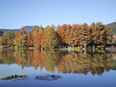 -浙江农林大学(东湖校区)