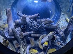 -成都浩海立方海洋公园