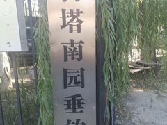 -古塔公园