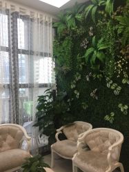 -苗医生草本科技祛痘